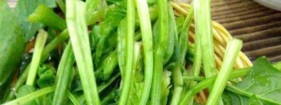 饮食搭配让男人保“精力”_饮食文化 菊江历史网