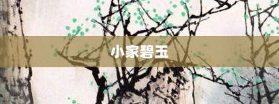 小家碧玉【小家碧玉的意思】- 成语大全