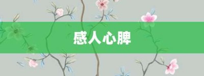 感人心脾【感人心脾的意思】- 成语大全