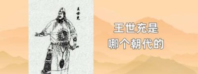王世充是哪个朝代的_唐朝历史 菊江历史网