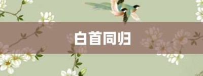 白首同归【白首同归的意思】- 成语大全