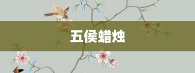 五侯蜡烛【五侯蜡烛的意思】- 成语大全
