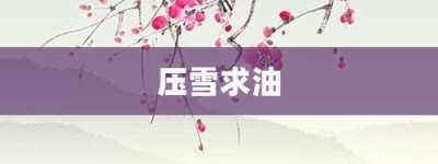 压雪求油【压雪求油的意思】- 成语大全