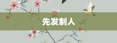 先发制人【先发制人的意思】- 成语大全