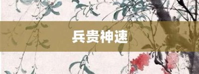 兵贵神速【兵贵神速的意思】- 成语大全