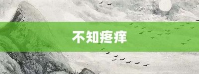不知疼痒【不知疼痒的意思】- 成语大全