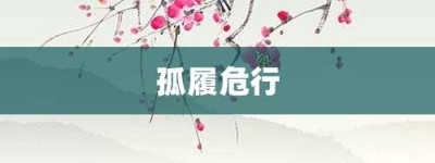 孤履危行【孤履危行的意思】- 成语大全