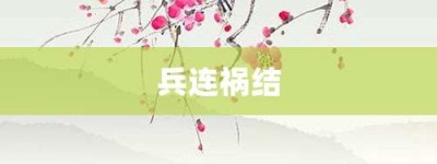 兵连祸结【兵连祸结的意思】- 成语大全