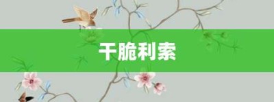 干脆利索【干脆利索的意思】- 成语大全