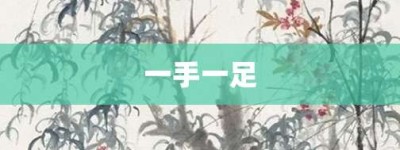 一手一足【一手一足的意思】- 成语大全