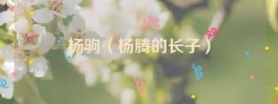 杨驹【杨腾的长子】 – 人物百科