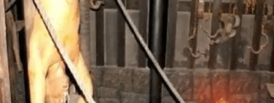 点天灯是什么样的刑罚：将人架在高处点燃(出自三国演义)_稗官野史 菊江历史网