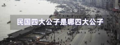 民国四公子（袁克文、张伯驹、张学良、溥侗）_民国历史 菊江历史网