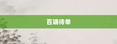 百端待举【百端待举的意思】- 成语大全