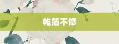 帷箔不修【帷箔不修的意思】- 成语大全