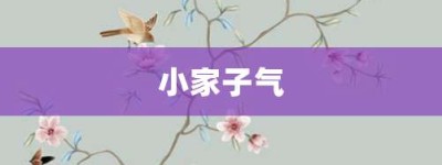 小家子气【小家子气的意思】- 成语大全