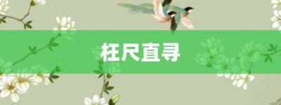 枉尺直寻【枉尺直寻的意思】- 成语大全