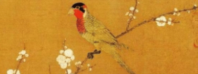 对鸟情有独钟，宋高宗赵构的养鸟趣事！_稗官野史 菊江历史网