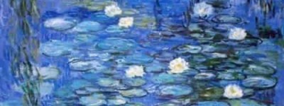 莫奈简介，莫奈睡莲多少钱_世界近代史 菊江历史网