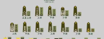 韩国军衔划分，不同军种军衔划分_世界近代史 菊江历史网