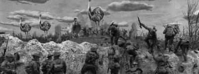 250年历史参与30余场战争，澳大利亚为什么被称称最忠实鹰犬？ 菊江历史网