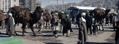 阿富汗历史问题与部落社会的回应_世界古代史 菊江历史网