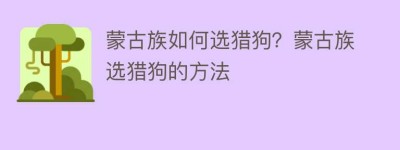 蒙古族如何选猎狗？蒙古族选猎狗的方法_民俗文化 菊江历史网