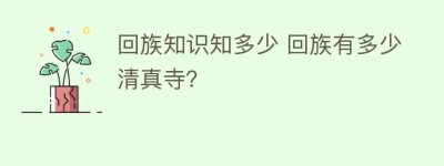回族知识知多少 回族有多少清真寺？_民俗文化 菊江历史网