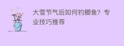 大雪节气后如何钓鲫鱼？专业技巧推荐_民俗文化 菊江历史网