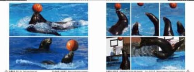 王士俊【中国博士，研究员】 – 人物百科