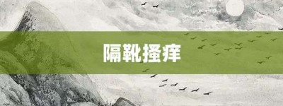 隔靴搔痒【隔靴搔痒的意思】- 成语大全