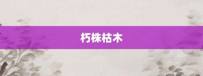 朽株枯木【朽株枯木的意思】- 成语大全