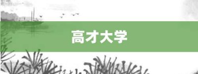 高才大学【高才大学的意思】- 成语大全