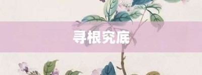 寻根究底【寻根究底的意思】- 成语大全