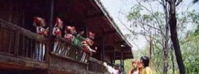 壮族风俗，壮族抛绣球习俗中蕴藏着什么文化内涵_民俗文化 菊江历史网
