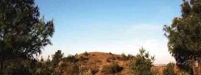 彝族文化，彝族向天坟是什么它有什么特别之处_民俗文化 菊江历史网