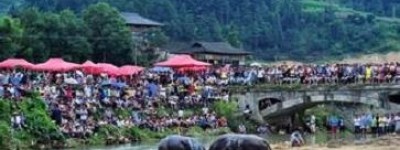 苗族吃新节简介，苗族人在吃新节上有啥活动_民俗文化 菊江历史网