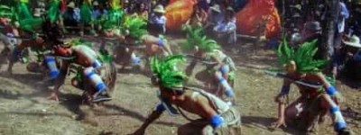 彝族撒尼村寨的密枝节是什么样的节日_民俗文化 菊江历史网