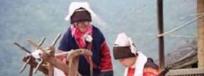 瑶族是怎样发展壮大的瑶族历史简介_民俗文化 菊江历史网