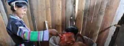 瑶族药文化，瑶族药浴对人体究竟有什么好处_民俗文化 菊江历史网