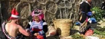 瑶族药文化，瑶族人是怎样草药治病救人的_民俗文化 菊江历史网