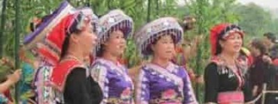 瑶族音乐，瑶族蝴蝶歌的艺术特色及文化简介_民俗文化 菊江历史网