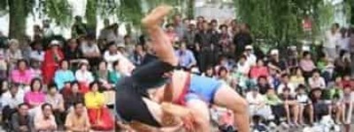 什么是朝鲜族重量级文化，朝鲜族摔跤简介_民俗文化 菊江历史网