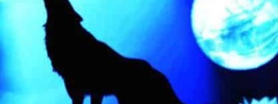 蒙古族文化，蒙古族的狼图腾是什么意思_民俗文化 菊江历史网