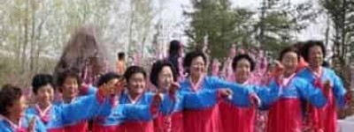 朝鲜族人为何喜欢金达莱，其中有何传说_民俗文化 菊江历史网