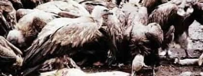 藏族习俗，探秘古老而神秘的藏族天葬_民俗文化 菊江历史网