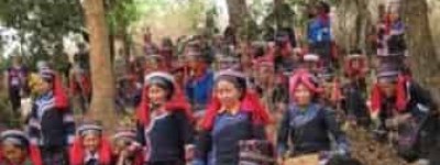 哈尼族的祭竜节主要是祭祀什么的节日_民俗文化 菊江历史网