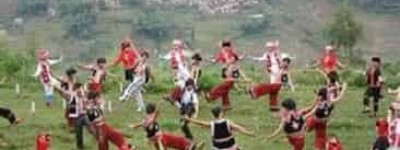 哈尼族为何把布谷鸟尊称为合波阿玛_民俗文化 菊江历史网