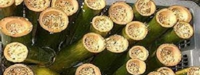 黎族为何爱吃米，黎族的特色主食都有啥_民俗文化 菊江历史网