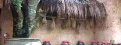 黎族酒文化简介，黎族酒都有啥民族特色_民俗文化 菊江历史网